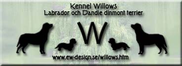 Lnk till Kennel Willows hemsida